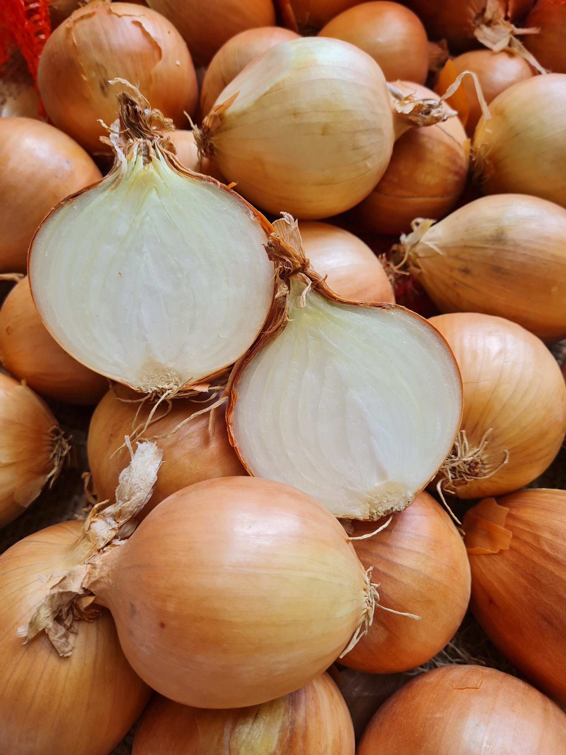 Header obrázok