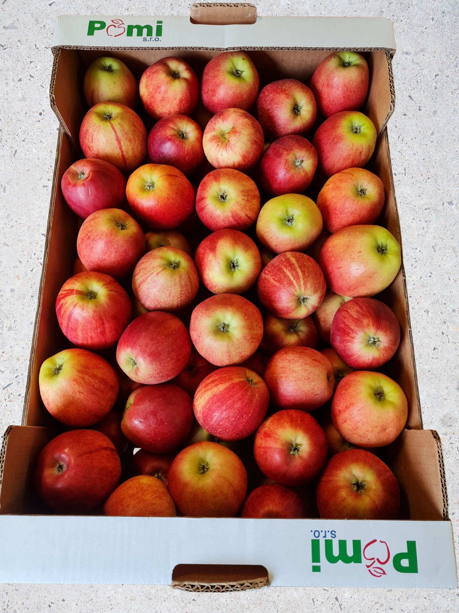 Untitled design_20250910_152139_0000